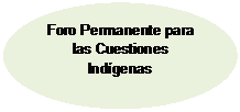 Elipse: Foro Permanente para las Cuestiones Indígenas