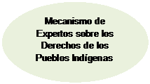 Elipse: Mecanismo de Expertos sobre los Derechos de los Pueblos Indígenas