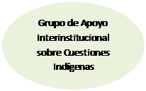 Elipse: Grupo de Apoyo Interinstitucional sobre Cuestiones Indígenas