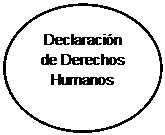 Elipse: Declaración de Derechos Humanos