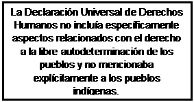 Cuadro de texto: La Declaración Universal de Derechos Humanos no incluía específicamente aspectos relacionados con el derecho a la libre autodeterminación de los pueblos y no mencionaba explícitamente a los pueblos indígenas.